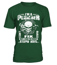 PLUMBER