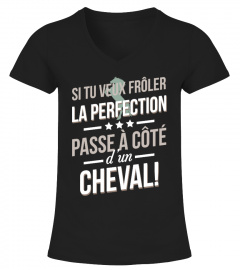 CHEVAL - la perfection