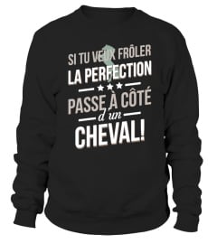 CHEVAL - la perfection