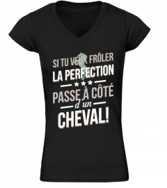 CHEVAL - la perfection