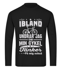 IBLAND UNDRAR JAG OM MIN CYKEL