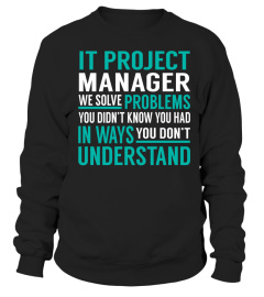 It Project Manager We Solve Problems