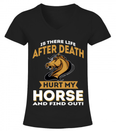 Is There Life After Death Hurt My Horse