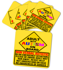 6 Magnets - Adult - AUTISM