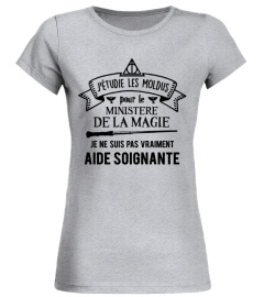 Aide Soignante [Harry Potter]