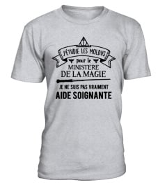 Aide Soignante [Harry Potter]