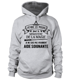 Aide Soignante [Harry Potter]