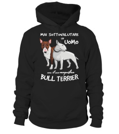 Un UOMO con un BULL TERRIER