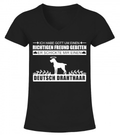 Deutsch Drahthaar Hund - Richtigen Freund
