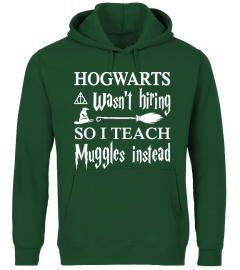 Hogwarts Wasn't Hiring So I Teach Muggles Instead T Shirt