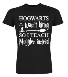 Hogwarts Wasn't Hiring So I Teach Muggles Instead T Shirt