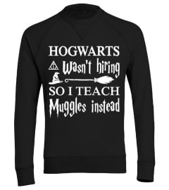 Hogwarts Wasn't Hiring So I Teach Muggles Instead T Shirt