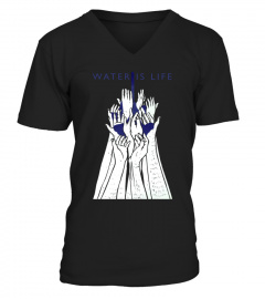 Water is life, NODAPL, NO DAPL