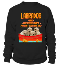 Labrador are like potato chips