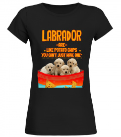 Labrador are like potato chips