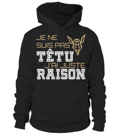 JE NE SUIS PAS TÊTU J'AI JASTU RAISON T-shirt