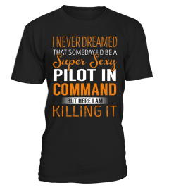 Pilot In Command - Never Dreamed