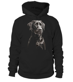 LABRADOR BLACK DOG CLOTHINGS