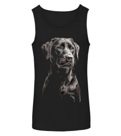 LABRADOR BLACK DOG CLOTHINGS