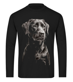 LABRADOR BLACK DOG CLOTHINGS