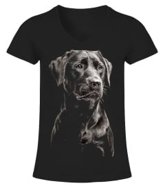 LABRADOR BLACK DOG CLOTHINGS