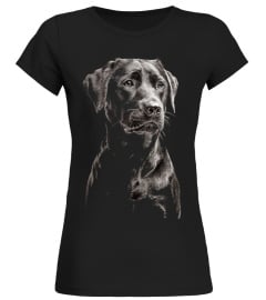 LABRADOR BLACK DOG CLOTHINGS