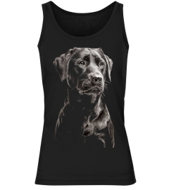 LABRADOR BLACK DOG CLOTHINGS