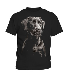 LABRADOR BLACK DOG CLOTHINGS