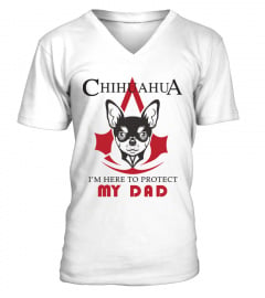 Chihuahua Protect DAD V Assassin's creed