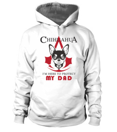 Chihuahua Protect DAD V Assassin's creed