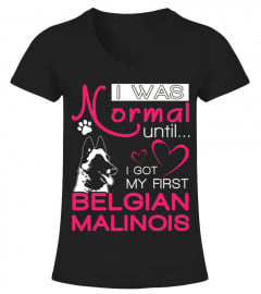 I was normal until I got my first Belgian Malinois