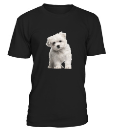 Maltese Puppy Dog On A Tee Shirt