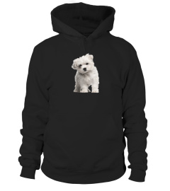 Maltese Puppy Dog On A Tee Shirt