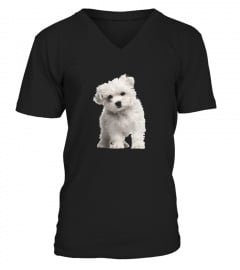 Maltese Puppy Dog On A Tee Shirt