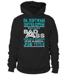 Sr. Software Developer