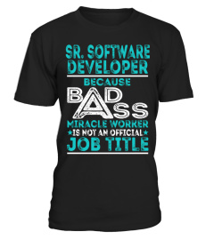Sr. Software Developer