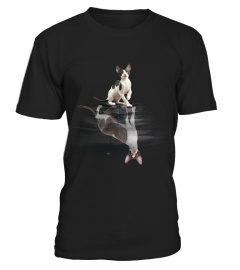 CORNISH REX