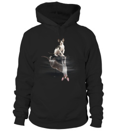 CORNISH REX