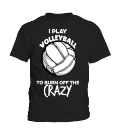 Play Volleyball To Burn Off The Crazy