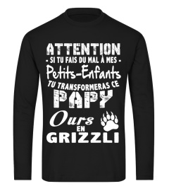 ATTENTION JAI UNE TAT CINGLEE NE ME SORCE PAS PAPY OURS  T-SHIRT