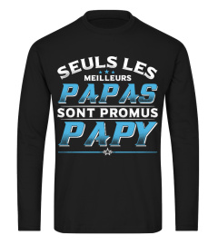 MEILLEURS PAPAS  PROMUS PAPY