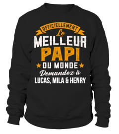 LE MEILLEUR PAPI  DU MONDE