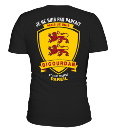 T-shirt - Parfait Bigourdan