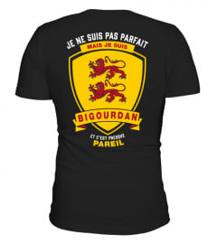 T-shirt - Parfait Bigourdan