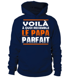 VOILA A QUOI RESSEMBLE LE PAPA PARFAIT T-SHIRT