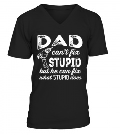Dad can't fix stupid but he can fix what