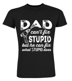 Dad can't fix stupid but he can fix what