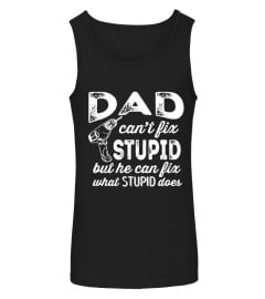 Dad can't fix stupid but he can fix what