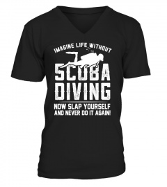 Life Without Scuba Diving