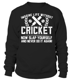 Life Without Cricket